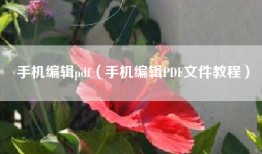 手机编辑pdf（手机编辑PDF文件教程）