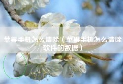 苹果手机怎么清除（苹果手机怎么清除软件的数据）