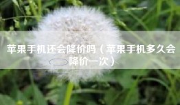 苹果手机还会降价吗（苹果手机多久会降价一次）