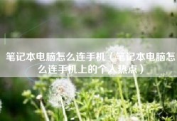 笔记本电脑怎么连手机（笔记本电脑怎么连手机上的个人热点）