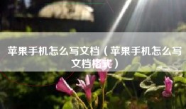 苹果手机怎么写文档（苹果手机怎么写文档格式）