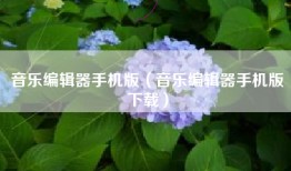 音乐编辑器手机版（音乐编辑器手机版下载）