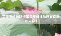 苹果手机抹除（苹果手机抹除所有设置和内容）