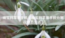 淘宝网苹果手机（淘宝网苹果手机分期花呗怎么还）