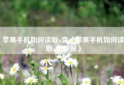 苹果手机如何读取u盘（苹果手机如何读取u盘数据）