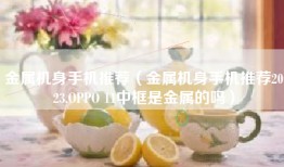 金属机身手机推荐（金属机身手机推荐2023,OPPO 11中框是金属的吗）