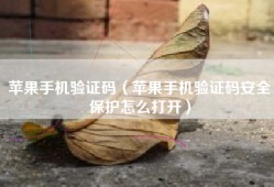 苹果手机验证码（苹果手机验证码安全保护怎么打开）