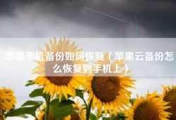 苹果手机备份如何恢复（苹果云备份怎么恢复到手机上）