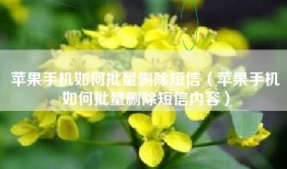 苹果手机如何批量删除短信（苹果手机如何批量删除短信内容）