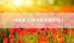 8月手机（8月手机会降价吗）