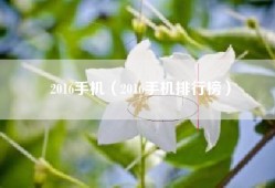 2016手机（2016手机排行榜）