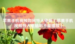 苹果手机视频如何导入电脑（苹果手机视频导入电脑后不能播放）