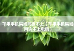 苹果手机局域网连不上（苹果手机局域网连不上电脑）