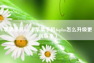 苹果手机6sp（苹果手机6splus怎么升级更高版本）