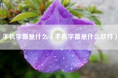 手机字幕是什么（手机字幕是什么软件）