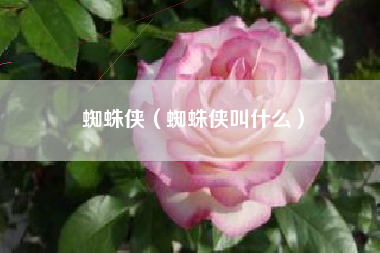 蜘蛛侠（蜘蛛侠叫什么）