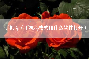 手机zip（手机zip格式用什么软件打开）