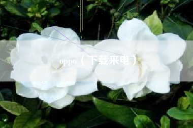 oppo（下载来电）