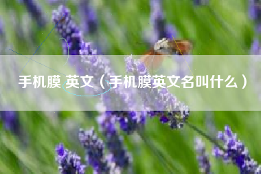 手机膜 英文（手机膜英文名叫什么）