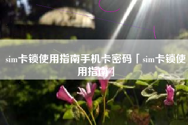 sim卡锁使用指南手机卡密码「sim卡锁使用指南」